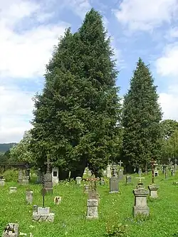 Obnovený hřbitov na Knížecích Pláních