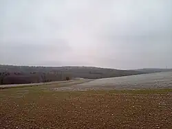 Pohled od Krähenhecke