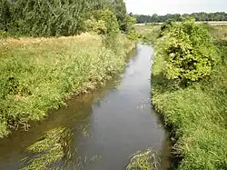 Potok těsně před ústím do Labe