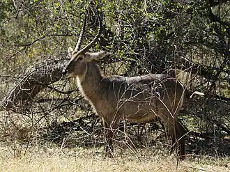 alternativní popis obrázku chybí