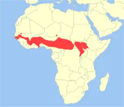 Areál rozšíření