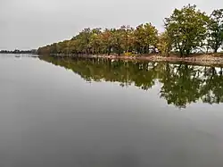 Dubová alej na hrázi Koclířova