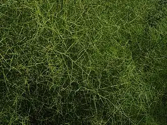 alternativní popis obrázku chybí