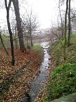 Ústí Kohoutovického potoka v Pisárkách