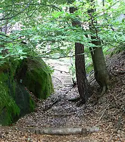 Schody z Čapského dolu na Čap