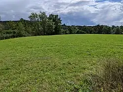 Koloděje nad Lužnicí - hradiště Na Hradci 04.jpg