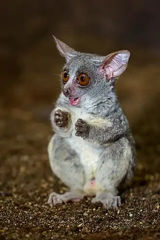 alternativní popis obrázku chybí