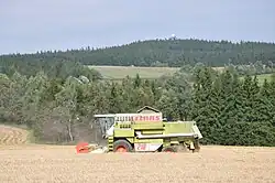 Buchtův kopec od cesty z Blatin do Sněžného