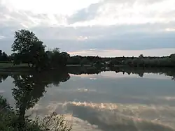 Podvečer na Komorním rybníce