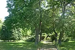 Pietní park v místě bývalého hřbitova