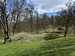 Konůvky - tvrziště na okraji zaniklé vsi (3).jpg