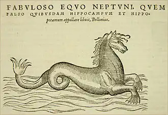 Renesanční hippocampus (1563)