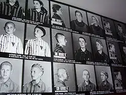 Koncentrační tábor Auschwitz-Birkenau