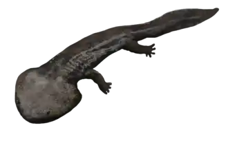 alternativní popis obrázku chybí