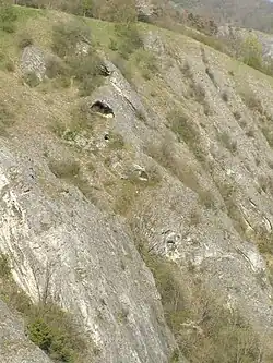 Detailní pohled na jeskyně vertikálně uspořádané v pěti patrech ve stěně skalního areálu nad zaniklým koupalištěm (jaro 2021)