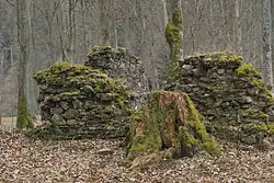 torzo Korandova smrku