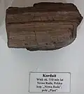 Zkamenělé dřevo kordaitu