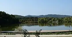 Fotka rybníka, vzadu stromy