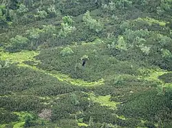 pohled z červené značky