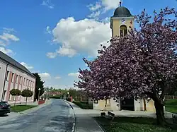 Kostel svatého Václava v Domaníně