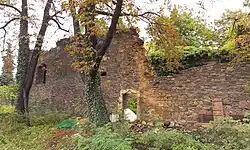 Zřícenina kostela Všech svatých v Kolíně