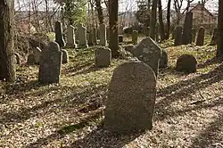 Kostelec u Křížků - židovský hřbitov (16).jpg