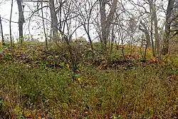 Pohled od hřbitovní zdi