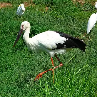 alternativní popis obrázku chybí