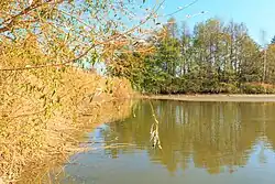 pohled na Kovárenský rybník