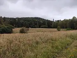 Pohled na Kozí hřbet z údolí řeky Odry