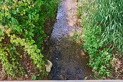 V Dolní Lipině v červnu 2025