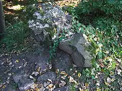 Kozlov - pozůstatky hradu u Košova a Morcinova (3).jpg