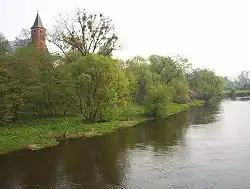 Bzura w Kozłowě Biskupim