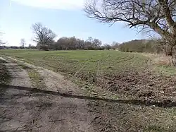 Kozly (u Tišic) - blatné hradiště (5).jpg