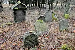 Židovský hřbitov v Krásné Lípě