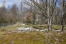 Lorberova loučka – oplocená část území