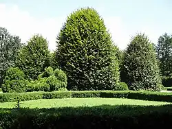 Parková úprava zeleně