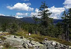 Česko-polská státní hranice u Králického Sněžníku