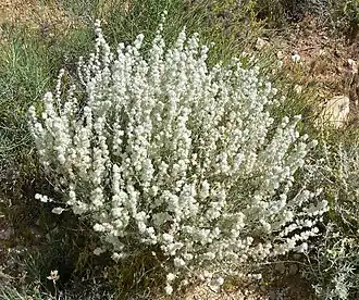 alternativní popis obrázku chybí