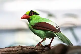 alternativní popis obrázku chybí