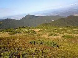 Hole, vrcholové partie