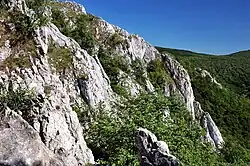 Kršlenica