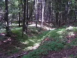 Příkop zaniklého hradu Krumvald