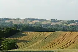 Proszowická náhorní plošina u obce Książnice Wielkie