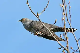 alternativní popis obrázku chybí