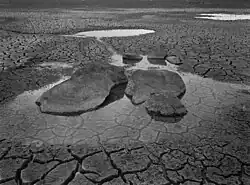 Z cyklu Krajina návratů II, 1980