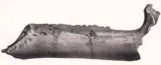 alternativní popis obrázku chybí