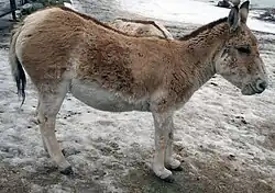 alternativní popis obrázku chybí