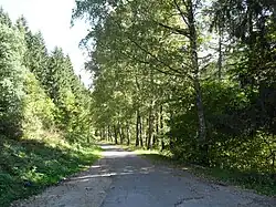 Dolní část údolí