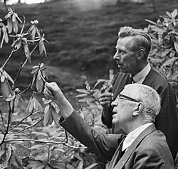 Gustav VI. Adolf se svým zahradníkem v Sofieru